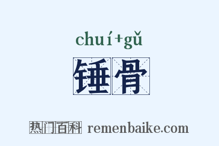 锤骨是什么意思的图片